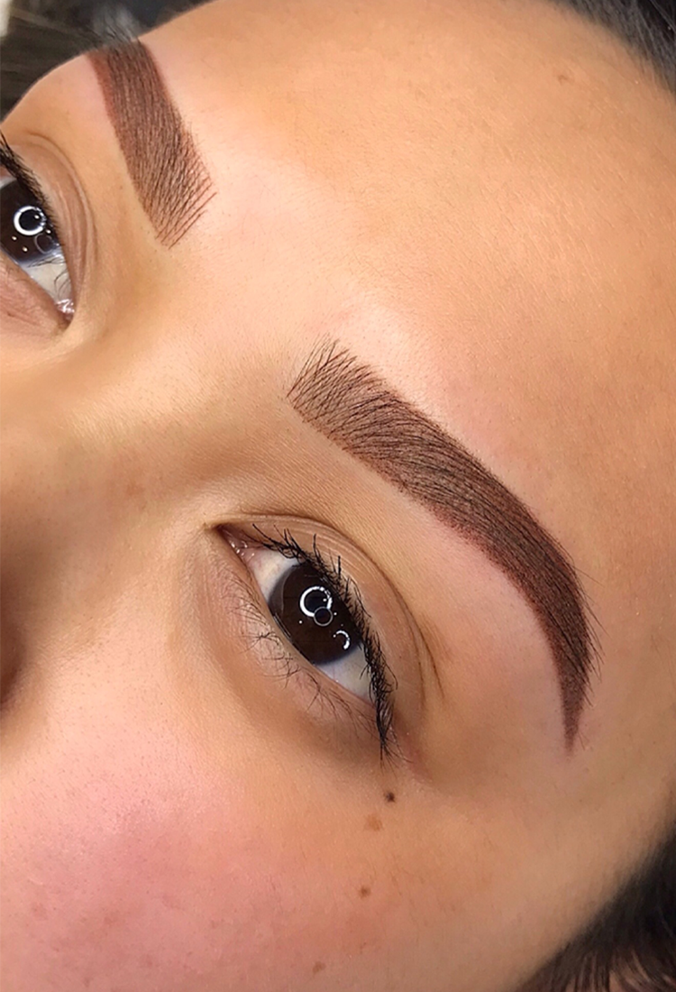 Medium Rise Eybrows Medium Eyebrows